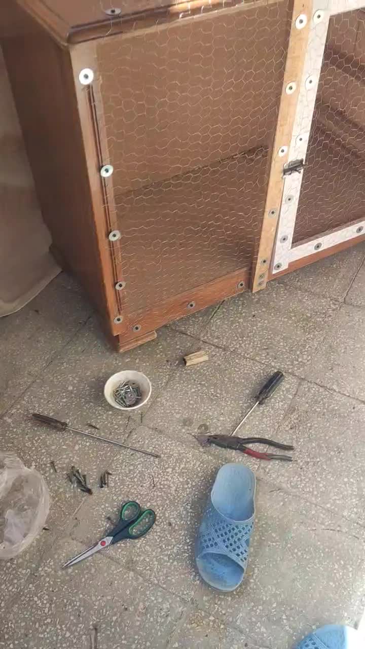 قفس کبوتر|لوازم جانبی حیوانات|چناران, |دیوار