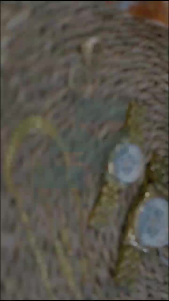 آتلیه. فیلمبرداری. عکاسی. لباس عروس|خدمات پذیرایی، مراسم|همدان, |دیوار