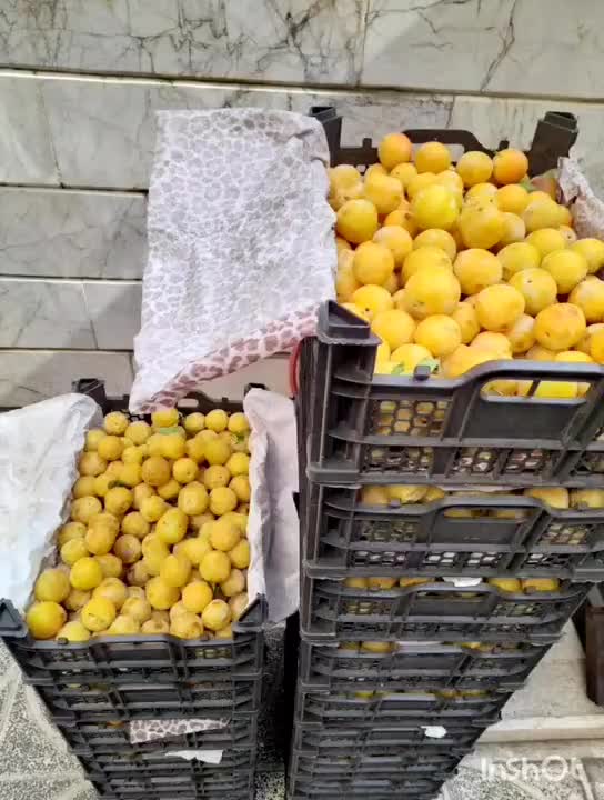 لواشک خونگی.گندم شاهدونه بوداده.کشمش و مویز|خوردنی و آشامیدنی|تهران, فرزانه|دیوار