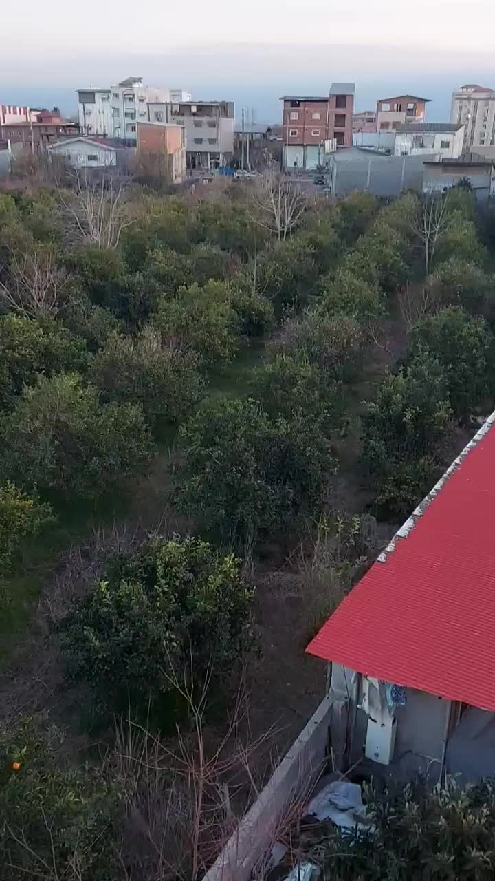 زمین سه بر کله بست ، بر بلوار روحانی|فروش زمین و ملک کلنگی|هادی شهر, |دیوار