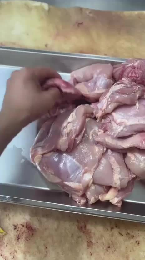 شنسل ران سینه بوقلمون مرغ کتف بال سینه|خوردنی و آشامیدنی|محمدشهر, همایون ویلا|دیوار