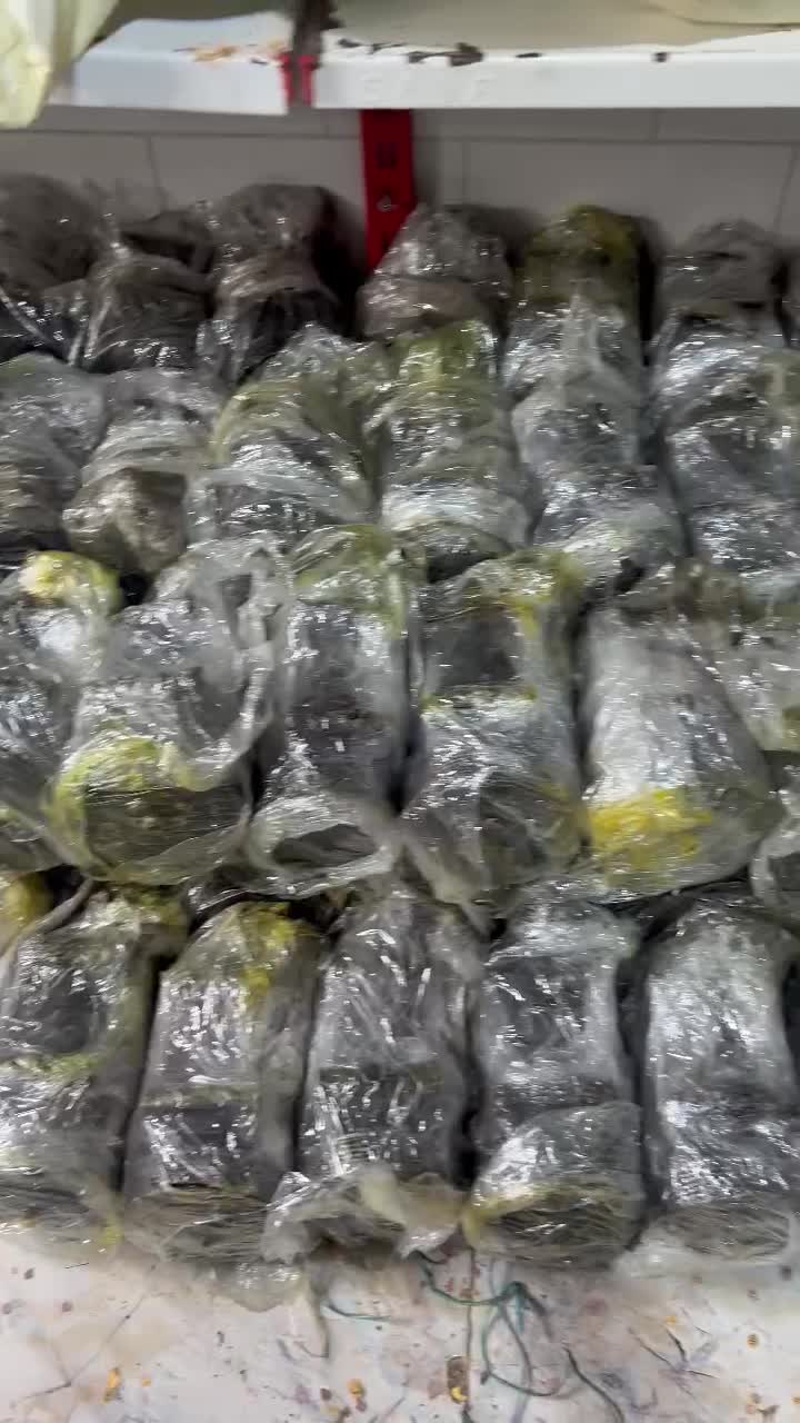 کمپرسورگاز کولر206 207 ال نود ساندرو زانتیاباضمانت|قطعات یدکی و لوازم جانبی|تهران, شهرک پاسداران|دیوار