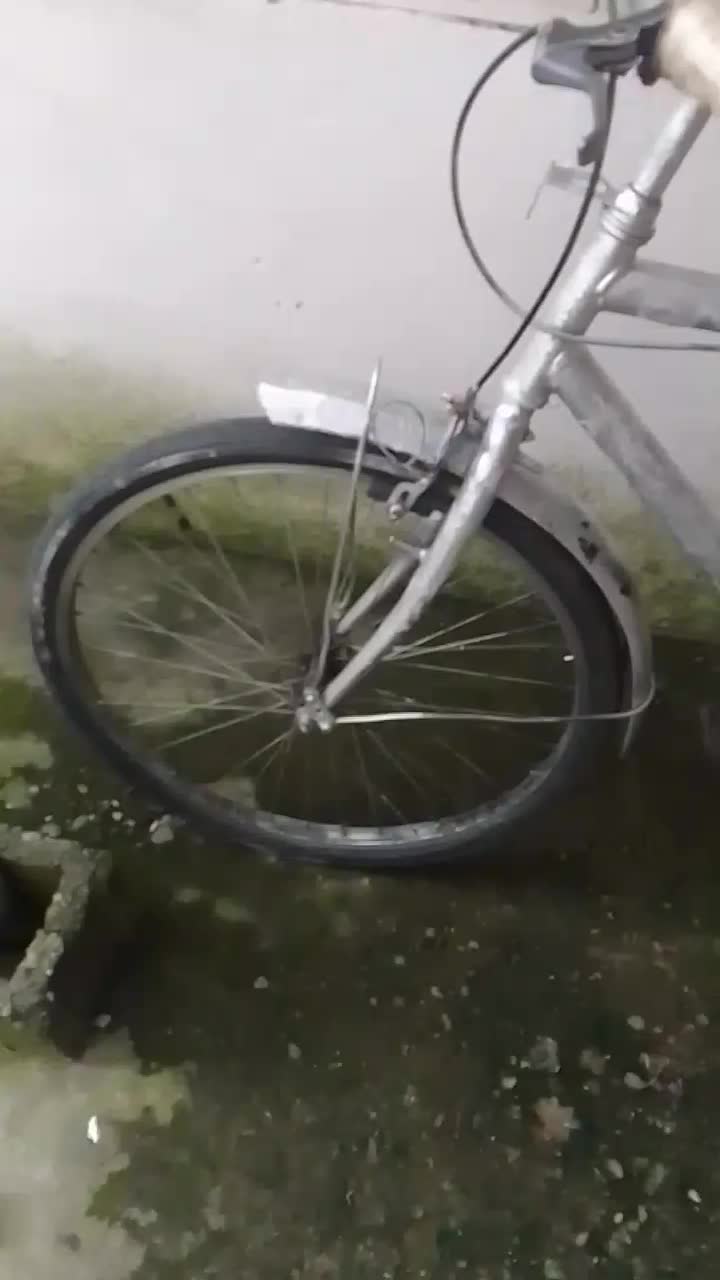 فروش دوچرخه ۲۶ ساده|دوچرخه، اسکیت، اسکوتر|رودسر, |دیوار