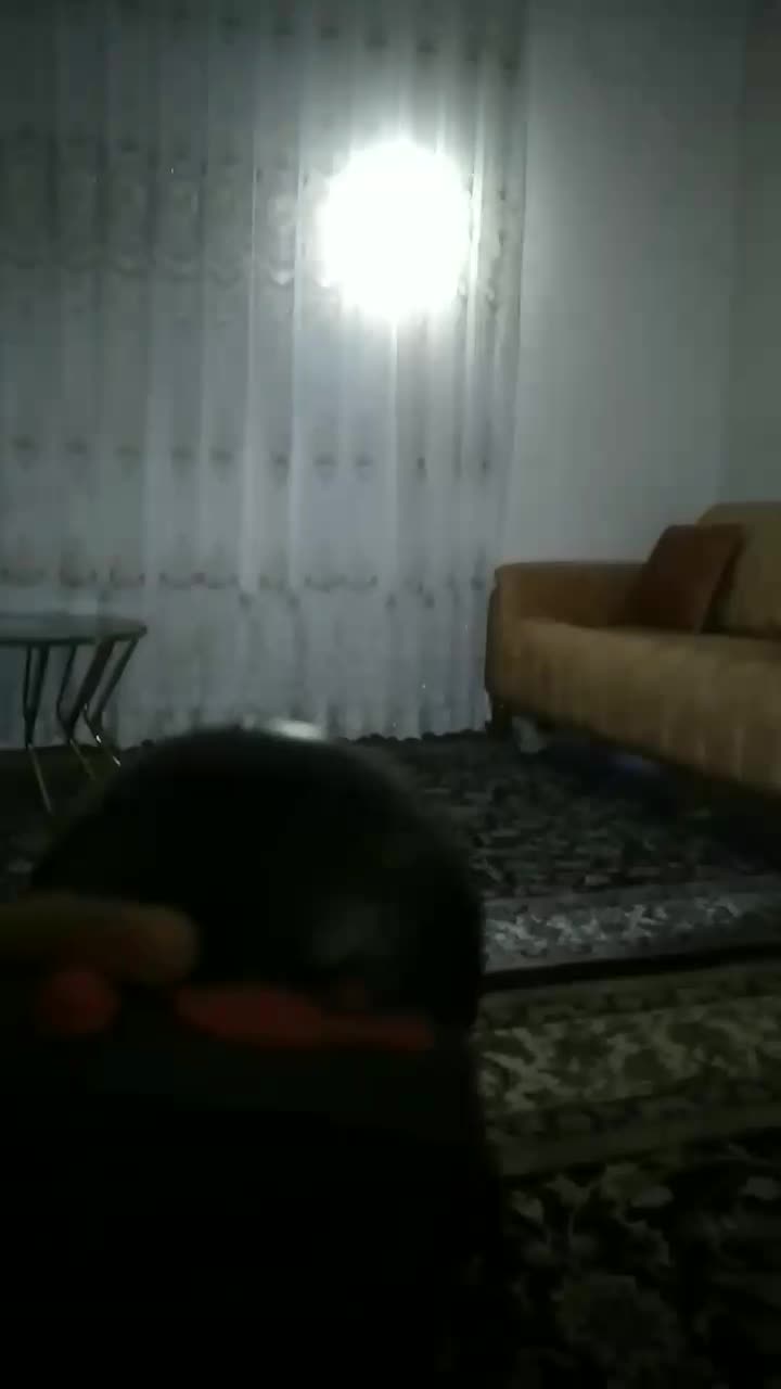 چراغ پیشانی|کوهنوردی و کمپینگ|قزوین, |دیوار