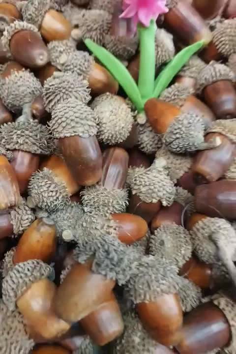 حصیر|صنایع دستی و سایر لوازم تزئینی|تهران, آهنگ|دیوار