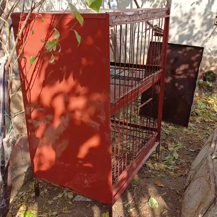 مرغ قفس آهنی لاری مرغ خروس برهما بوقلمون|حیوانات مزرعه|کرج, شهرک سهرابیه|دیوار