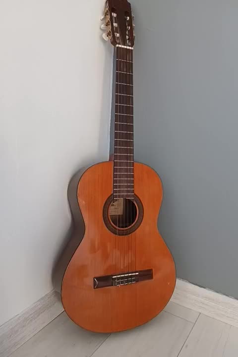 گیتار آریا AK 45|گیتار، بیس، امپلیفایر|تهران, تهرانپارس غربی|دیوار