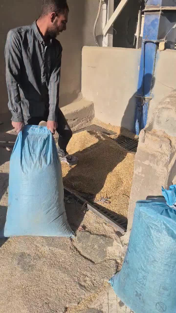 برنج کامفیروزی|خوردنی و آشامیدنی|مرودشت, فرهنگ|دیوار