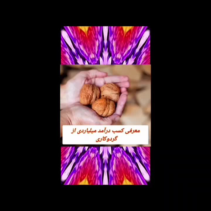 فروش نهال گردو اصلاح شده فرنور چندلر ژنوتیپ برتر|خدمات باغبانی و درختکاری|نیشابور, امین اسلامی|دیوار