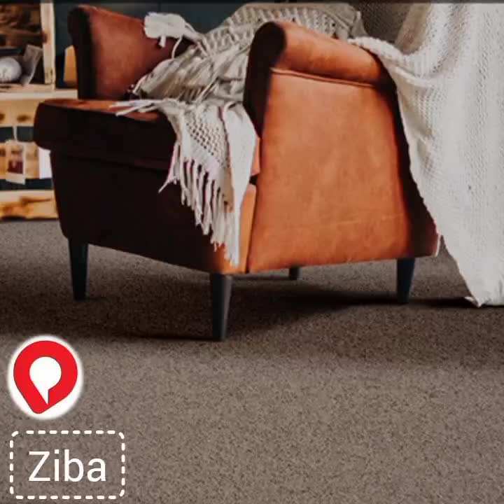 پالاز موکت(سرایفرشمحمدی)|موکت|اردبیل, |دیوار