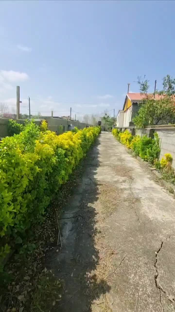 ویلا ۸۰۳ مترزمین ۱۲۵ متر بنا ۳ خواب روستای سالکده|فروش خانه و ویلا|آستانه اشرفیه, |دیوار