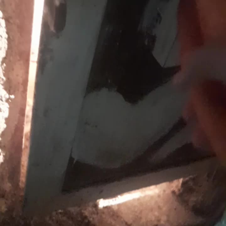 خرگوش لوپ|موش و خرگوش|قائن, |دیوار