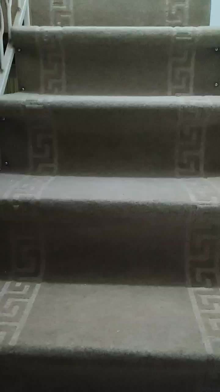 اجاره آپارتمان امام خمینی|اجارهٔ خانه و ویلا|اصفهان, مشکین|دیوار