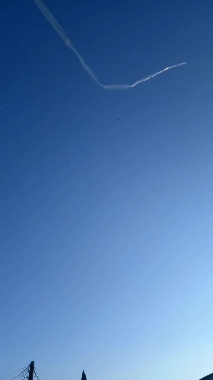 کبوتر پروازی آگهی رو بخون|پرنده|رودسر, |دیوار