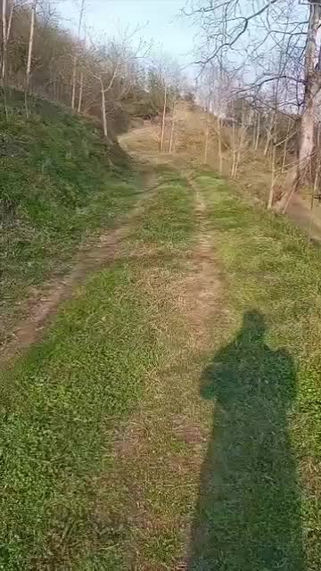 زمین باغی ۹۰۰۰ متری|فروش زمین و ملک کلنگی|لنگرود, |دیوار