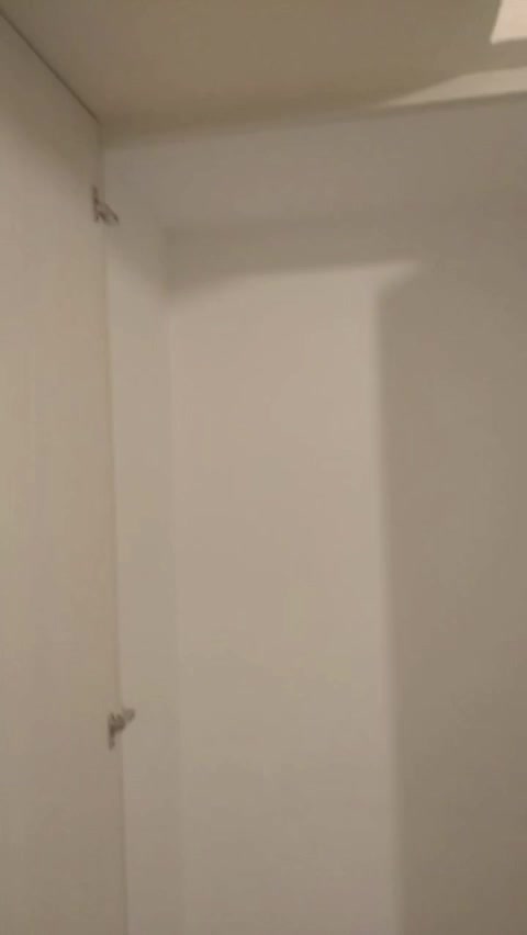 75متر آپارتمان تهرانسر استقلال|اجارهٔ آپارتمان|تهران, شهرک استقلال|دیوار