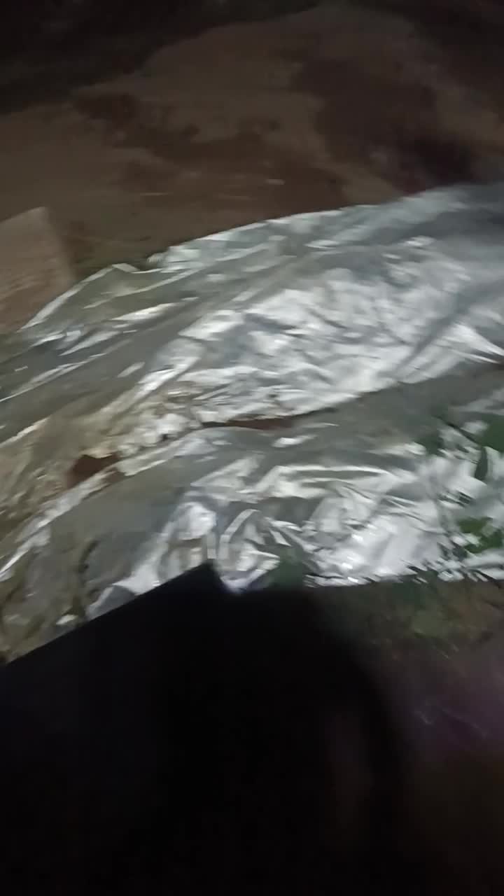 باغ ویلا سلطنتی|فروش دفتر صنعتی، کشاورزی، تجاری|الوند, |دیوار