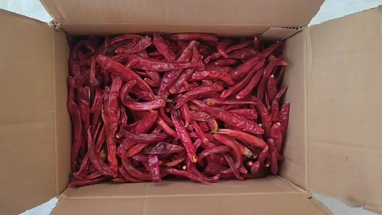 فلفل دمگرفته شیرازی|عمده‌فروشی|منوجان, |دیوار