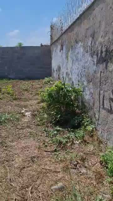 ۱۸۰ متر زمین با اجازه ساخت در آج بیشه رشت|فروش زمین و ملک کلنگی|رشت, جانبازان|دیوار