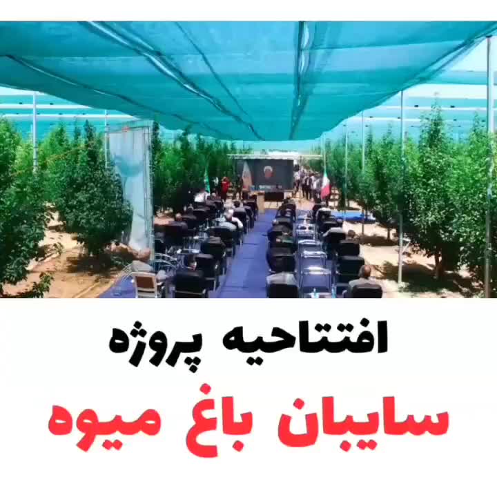 فروش ۲۴هکتار باغ میوه سرپوشیده استان قزوین|فروش دفتر صنعتی، کشاورزی، تجاری|رشت, گلسار|دیوار