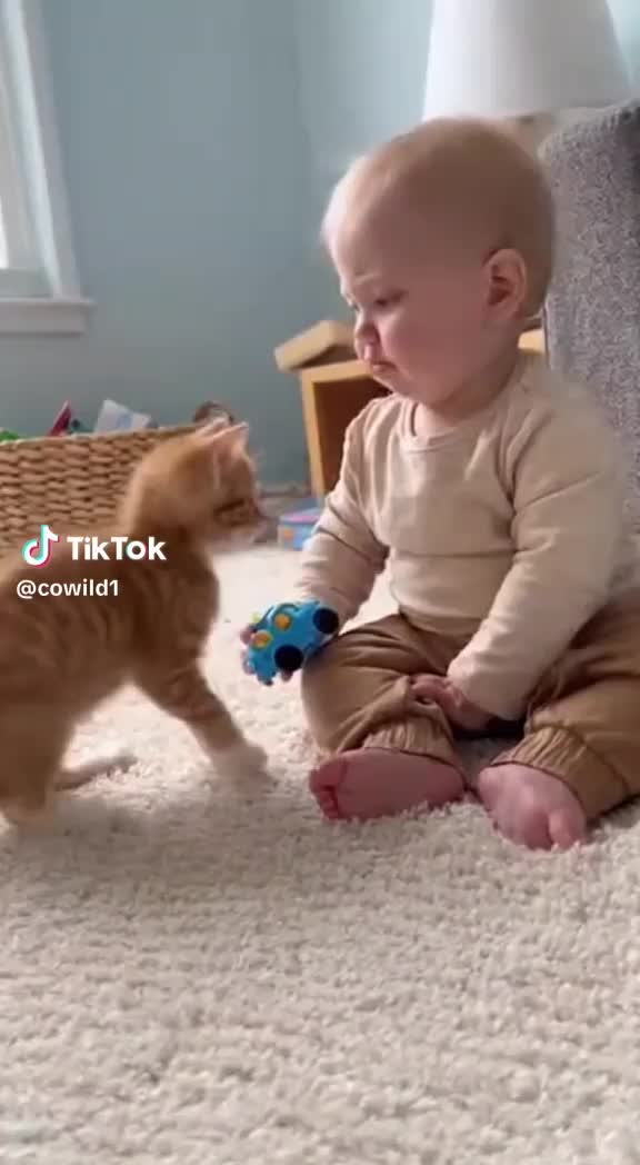 ساخت کلیپ شما با هوش مصنوعی|خدمات رایانه‌ای و موبایل|اهواز, کیانپارس |دیوار