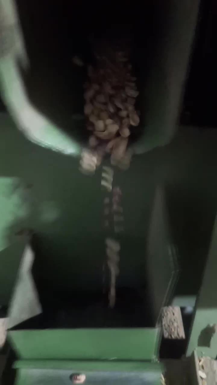 لوبیا چیتی کپسولی(بوجاری شده)(قیمت320مقطوع)|حراج|ویلکیج, |دیوار