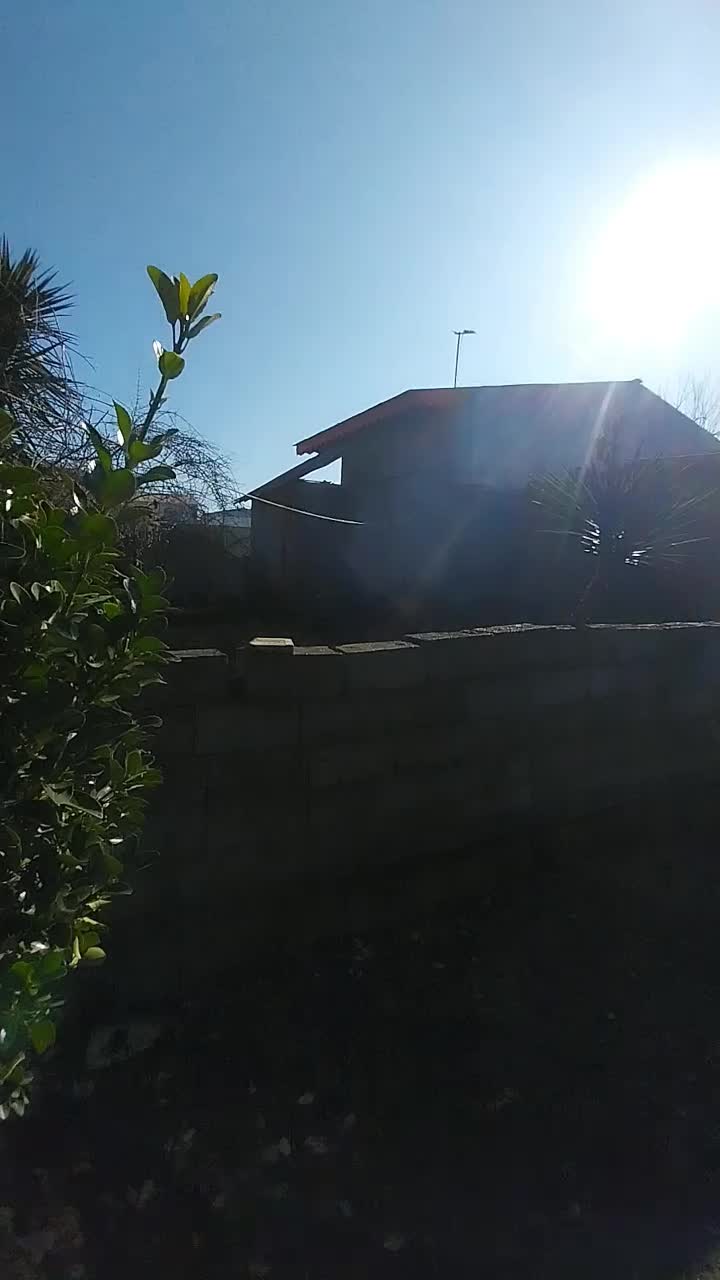 زمین دو کله آپارتمانی شهرک قدس نزدیک به پارک جنگلی|فروش زمین و ملک کلنگی|کیاشهر, |دیوار