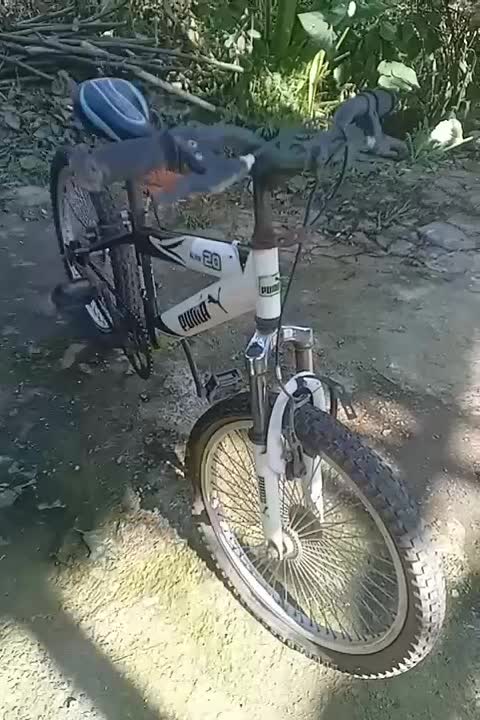 دوچرخه سایز ۲۰|دوچرخه، اسکیت، اسکوتر|گوراب زرمیخ, |دیوار