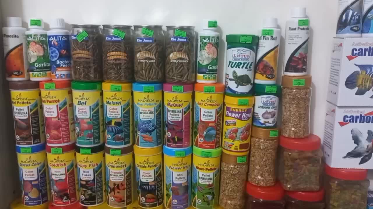 غذای ماهی/ بخاری/ پمپ/ آکواریوم/ لامپ|ماهی|تهران, تجریش|دیوار