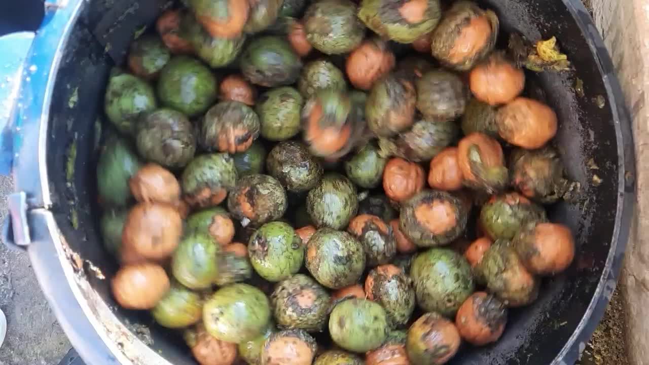 گردو|خوردنی و آشامیدنی|کرج, شهرک سهرابیه|دیوار