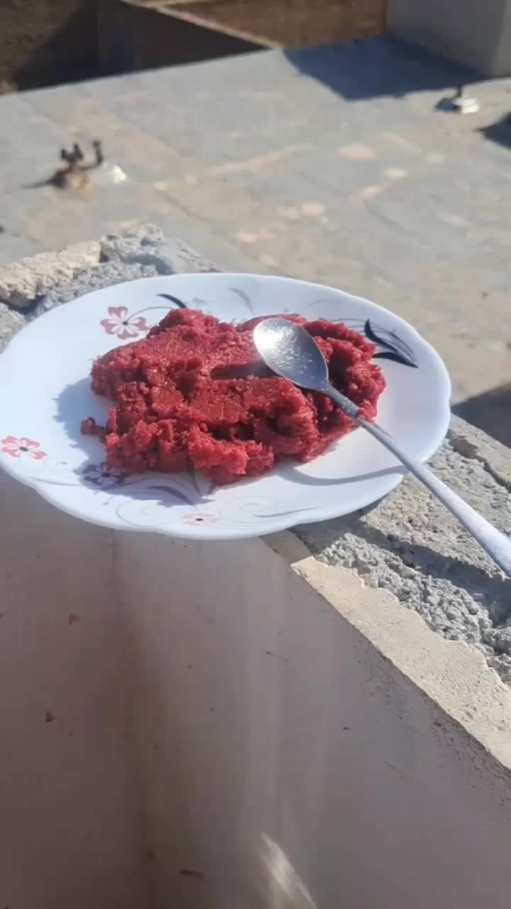 رب محلی ولوبیا|خوردنی و آشامیدنی|بجنورد, |دیوار