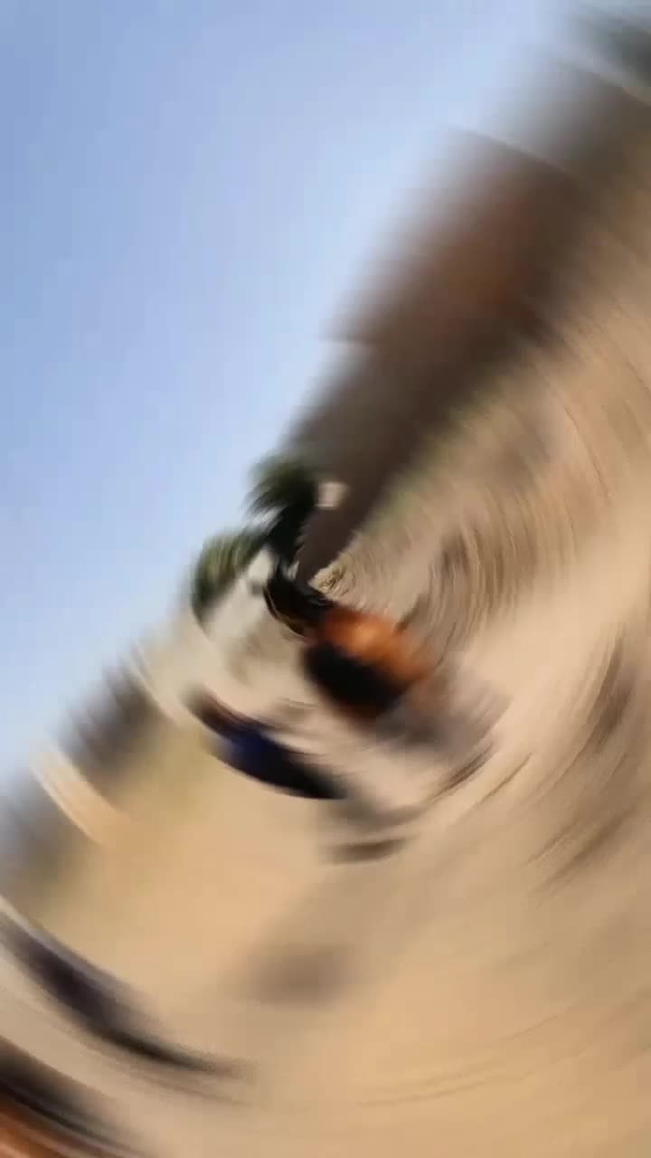 اسب کرد نریون|اسب و تجهیزات اسبسواری|کاشمر, |دیوار