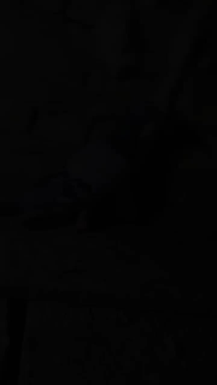 ۸تا‌کفتر|پرنده|تایباد, |دیوار