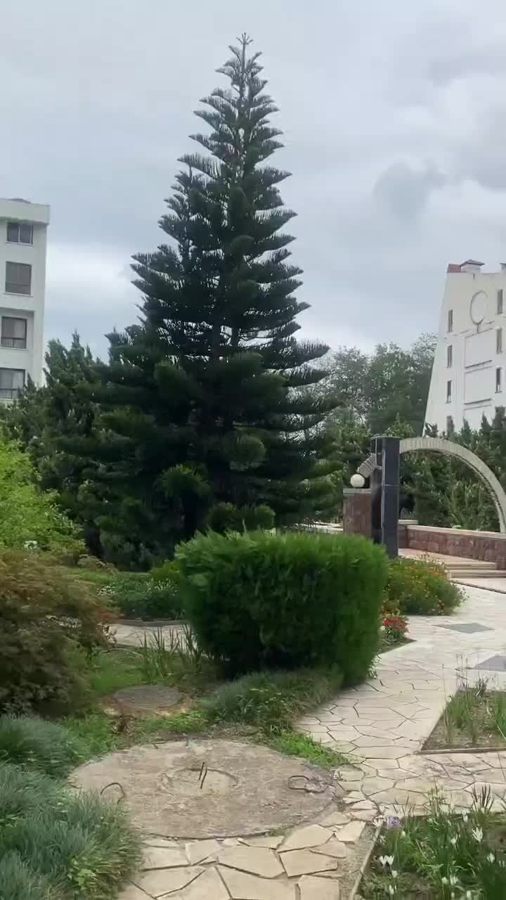 اجاره آپارتمان ۱۶۰ متری استخردار|اجارهٔ آپارتمان|چالوس, |دیوار