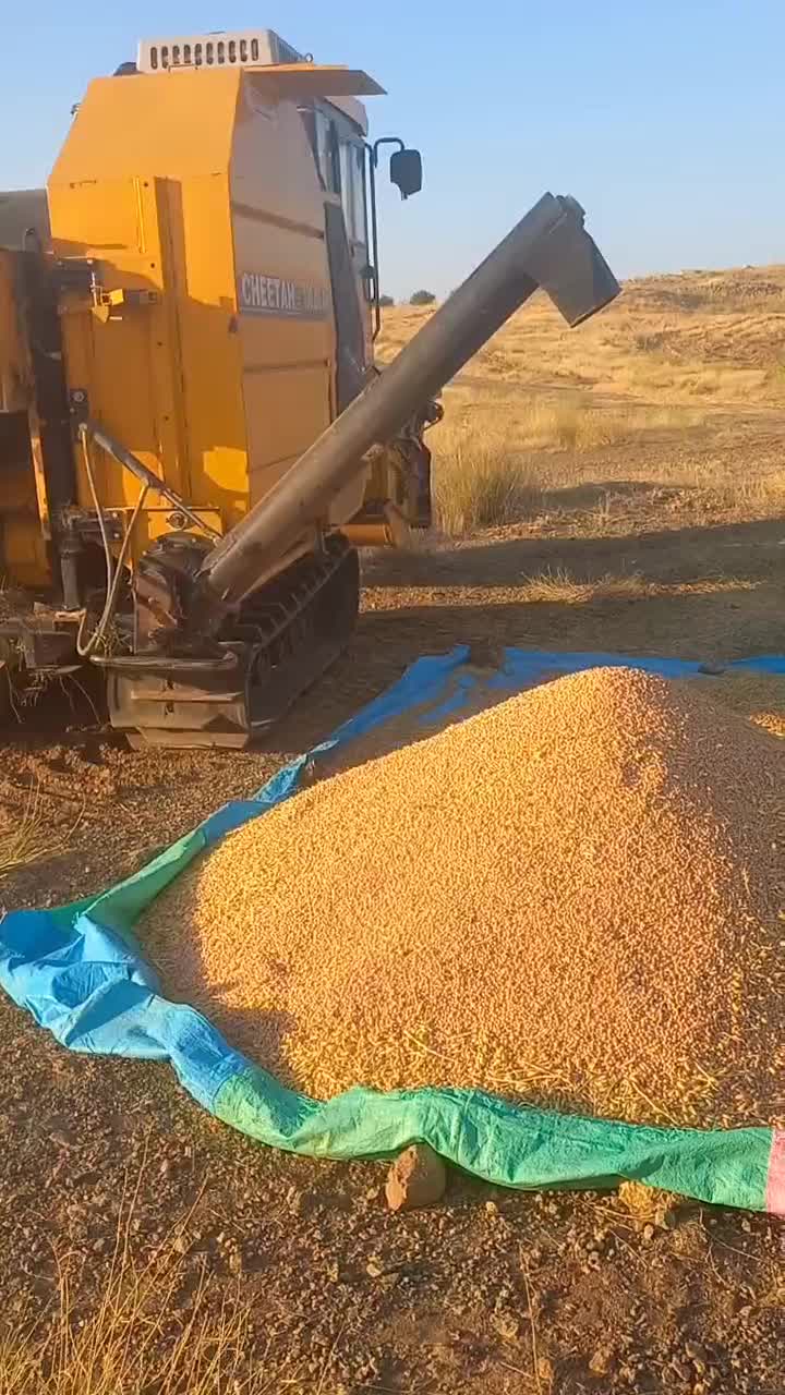 کمپاین نخود|خودرو سنگین|کرمانشاه, |دیوار