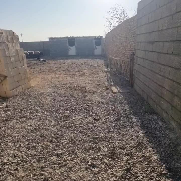 دامداری مخصوص گوسفند ۵۰۰متری|اجارهٔ دفتر صنعتی، کشاورزی، تجاری|اصفهان, قهجاورستان|دیوار