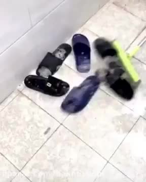 هولدر دمپایی و حوله|لوازم حمام|کرمانشاه, |دیوار