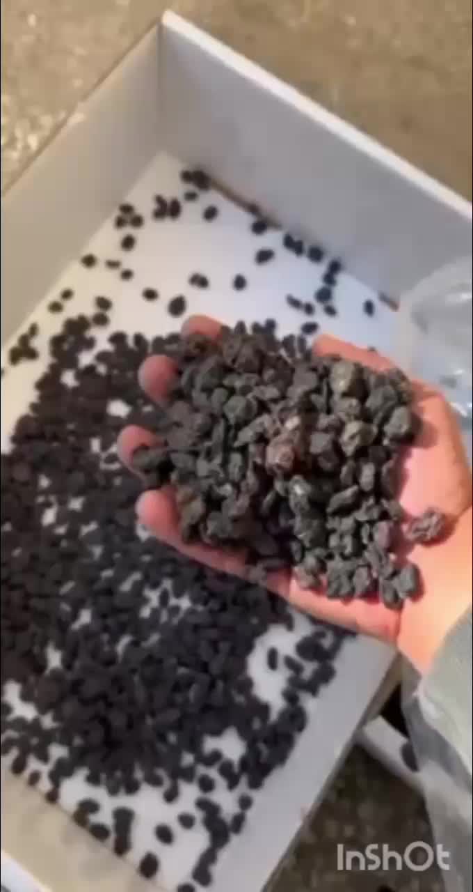 مویز افغان|عمده‌فروشی|مشهد, کارمندان دوم|دیوار