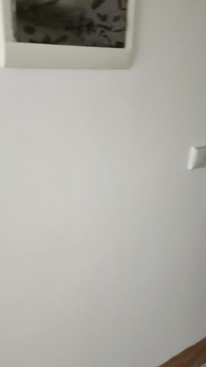 رنگ آمیزی صفر تا صد|خدمات پیشه و مهارت|دوگنبدان, |دیوار