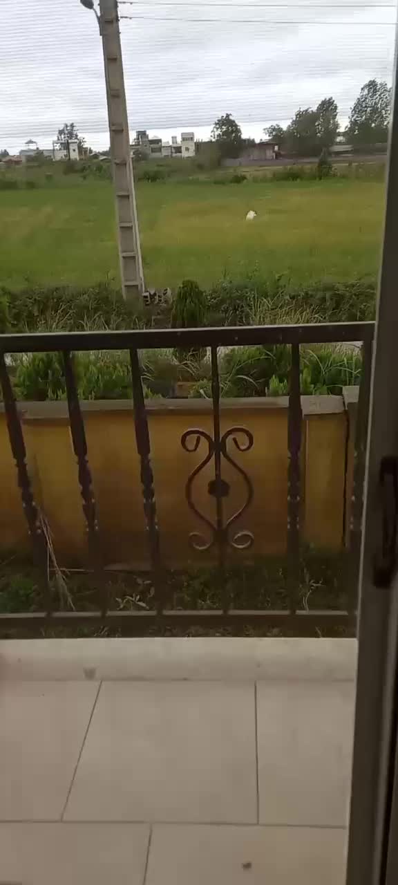 فروش واحد مسکونی|فروش آپارتمان|امامزاده عبدالله, |دیوار