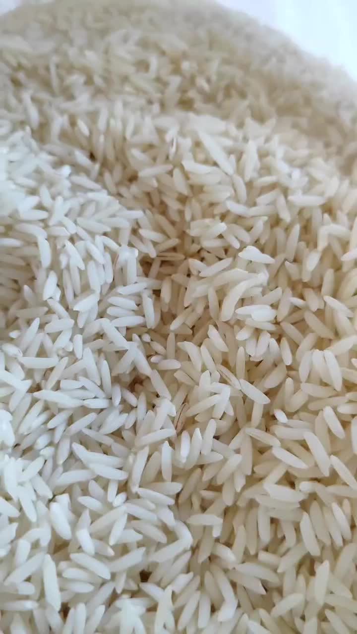 برنج محلی|خوردنی و آشامیدنی|کلاچای, |دیوار