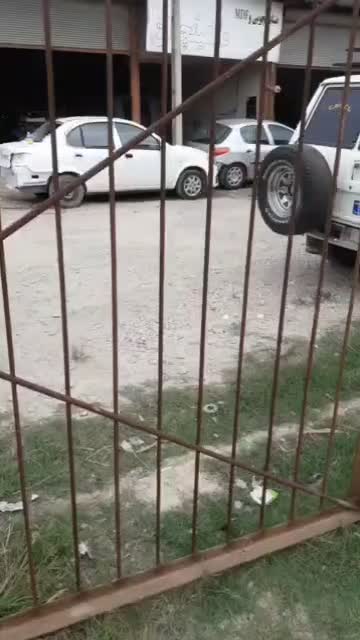 رهن و اجاره واحد کارگاهی|اجارهٔ مغازه و غرفه|ساری, |دیوار