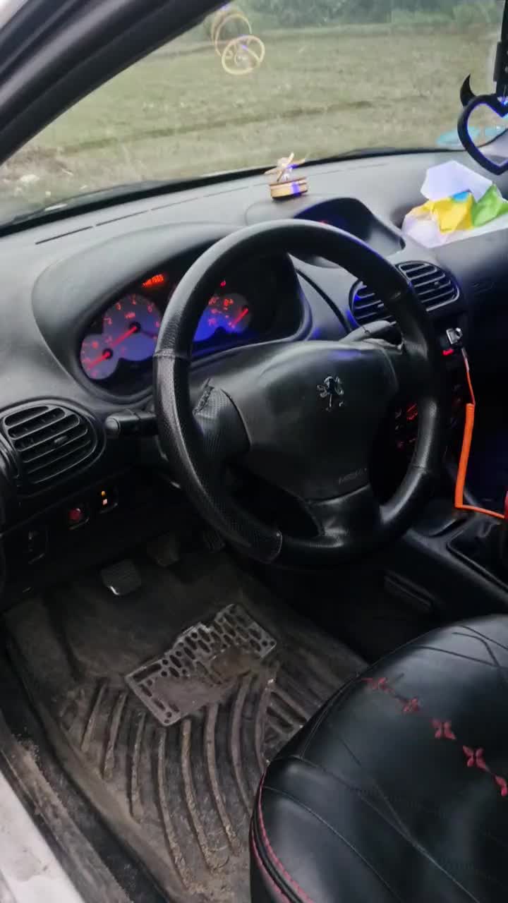 ۲۰۶sd|خودرو سواری و وانت|شفت, |دیوار