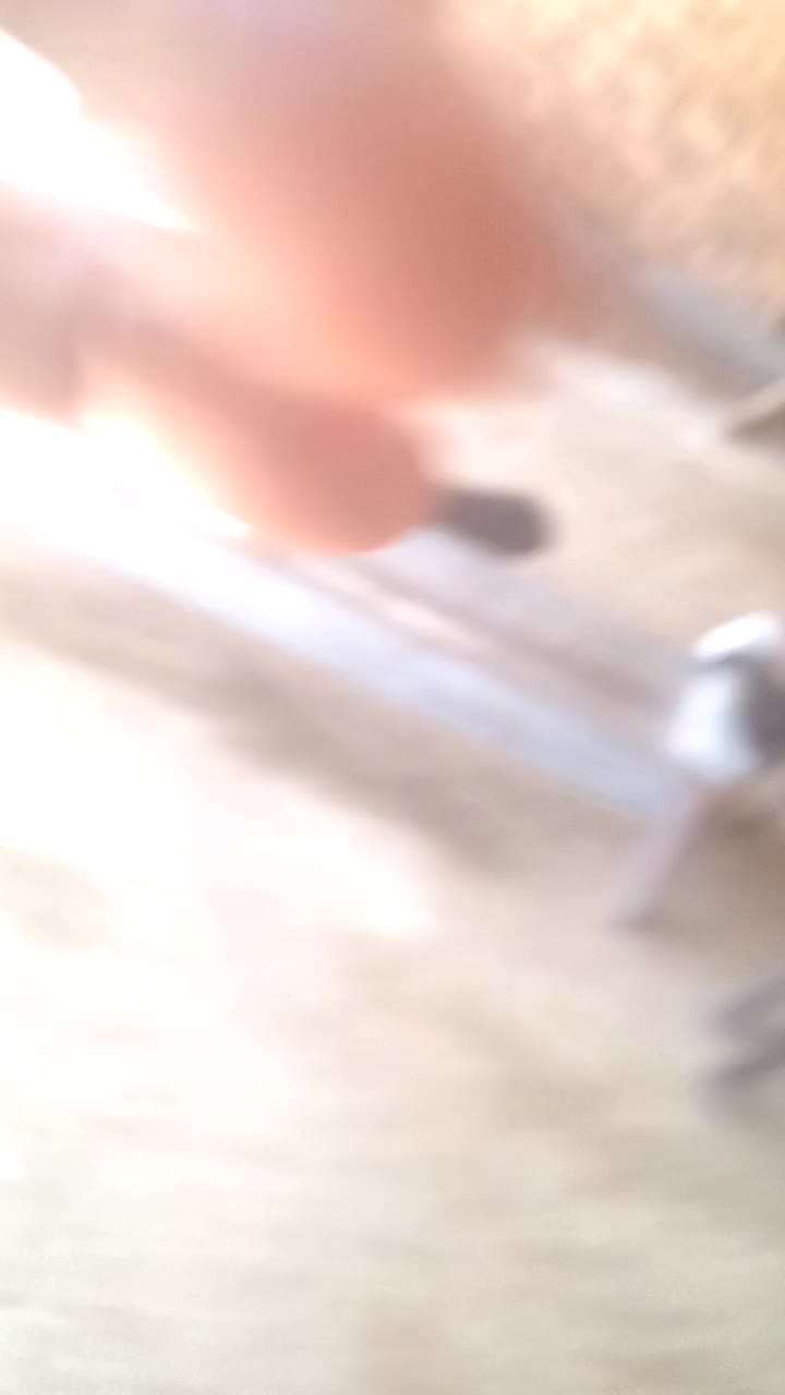 شک قوچ افشار|حیوانات مزرعه|ویسیان, |دیوار