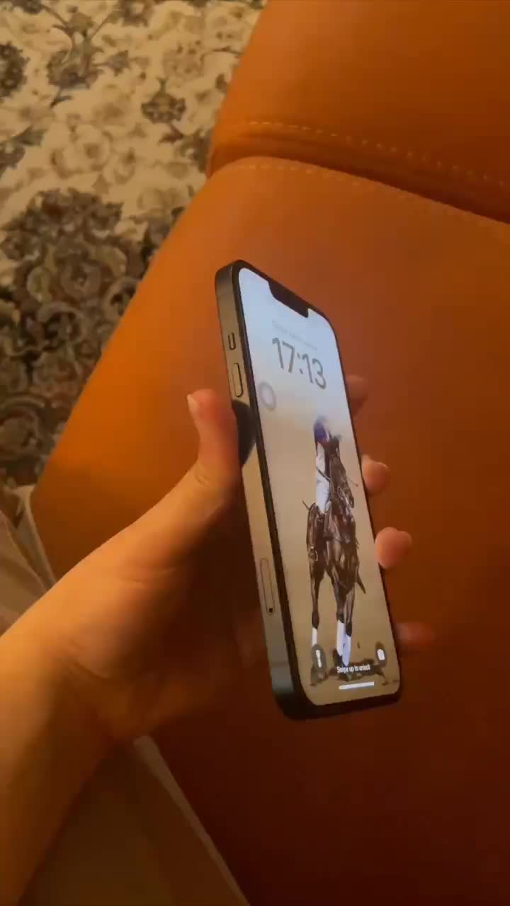 گوشی آیفون ۱۳ نرمال ۲۵۶ گیگ|موبایل|اصفهان, شیخ اشراق|دیوار