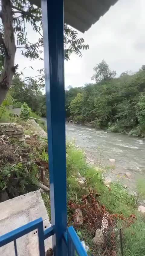 کلبه دربستی با ویو جنگل و رودخانه|اجارهٔ کوتاهمدت ویلا و باغ|چالوس, |دیوار