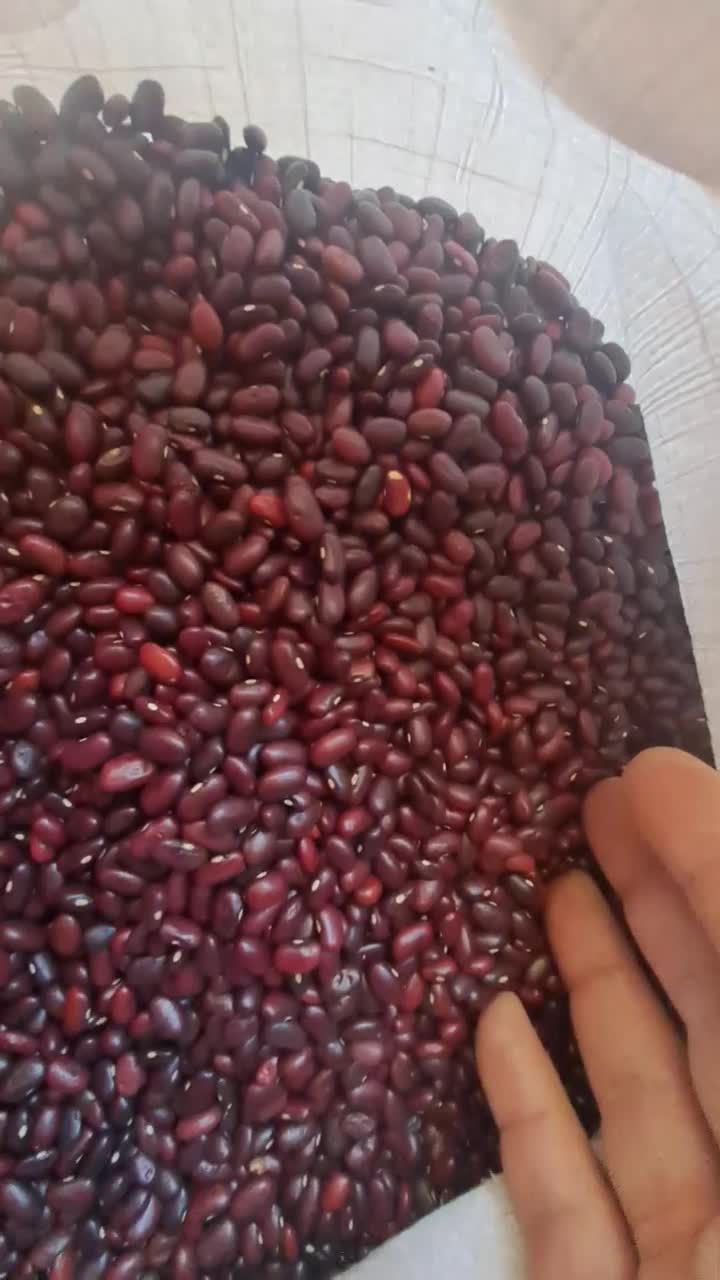 لوبیا|خوردنی و آشامیدنی|لنجان, |دیوار