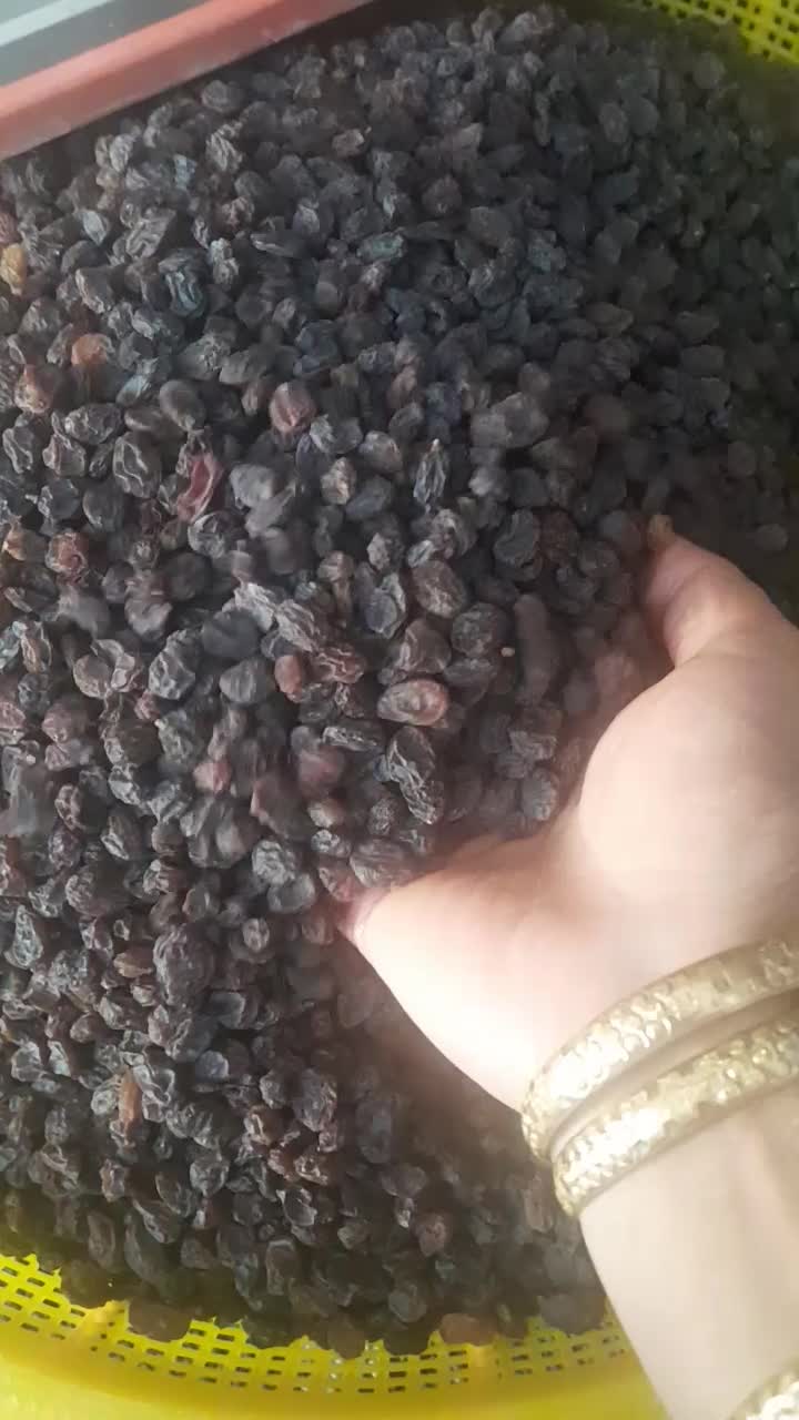 کشمش بیدانه|خوردنی و آشامیدنی|ساوه, |دیوار