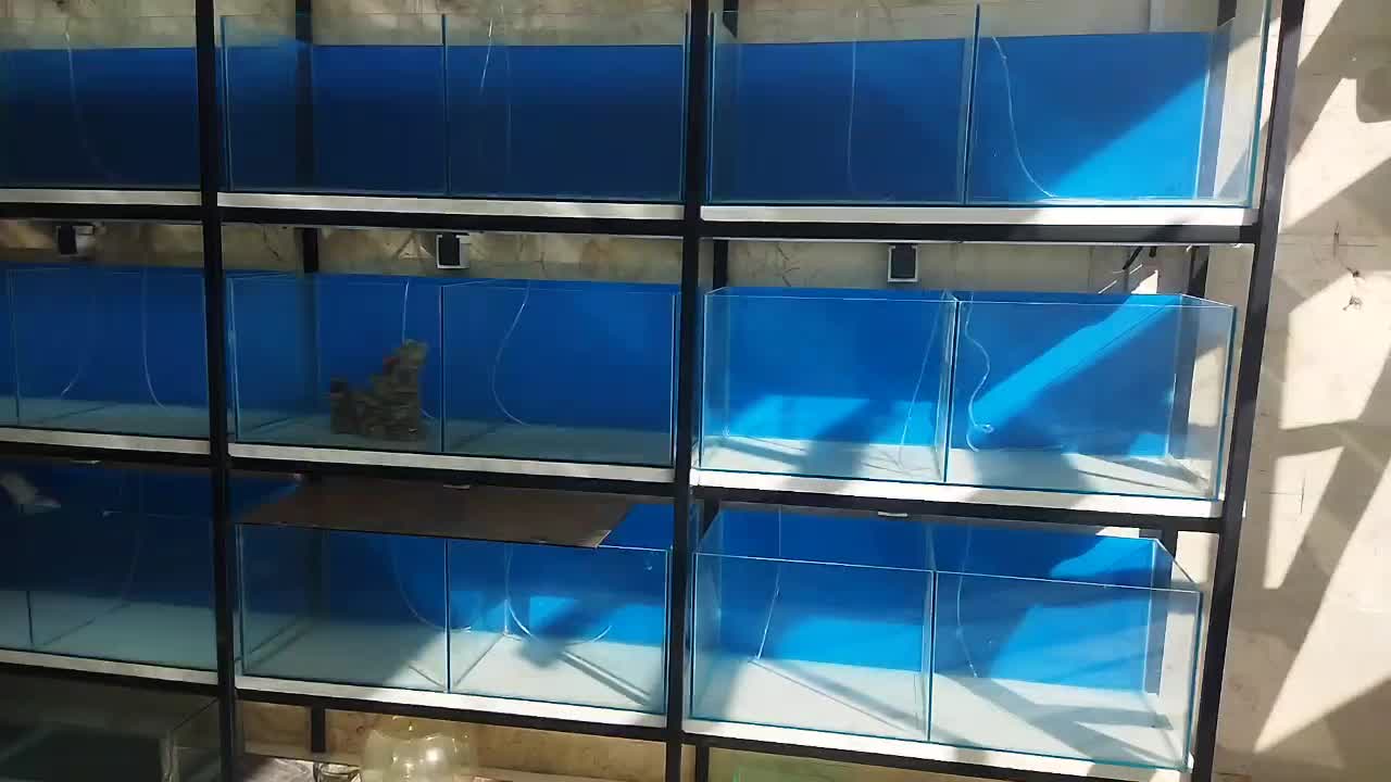 آکواریوم نو|ماهی|مشهد, انقلاب|دیوار