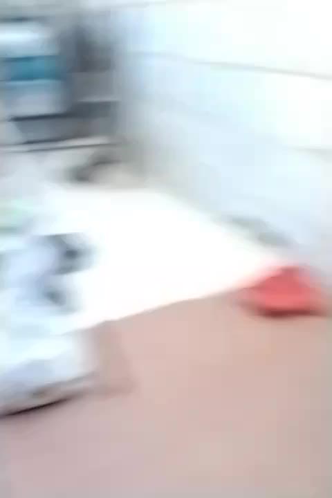 قفس پرنده|لوازم جانبی حیوانات|قرچک, زیبا شهر|دیوار